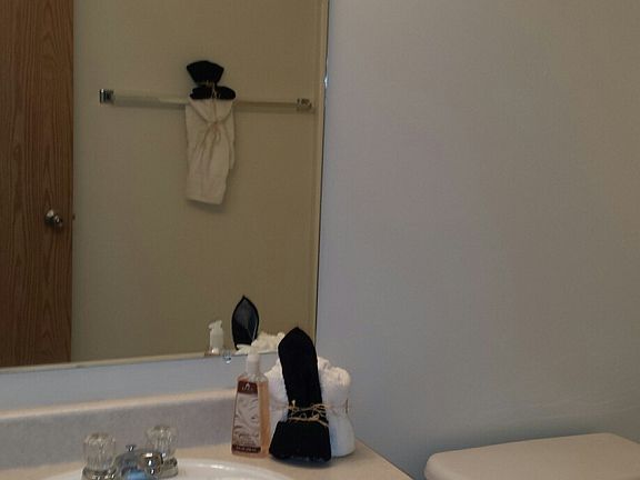 Vanity