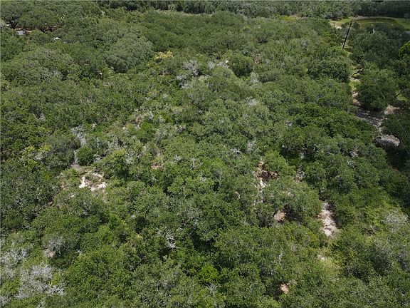 4th image of 1738 Morgan Ln