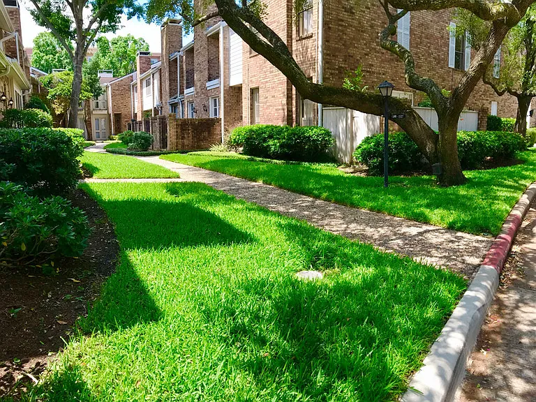 San Felipe Square Townhomes — Photo 10