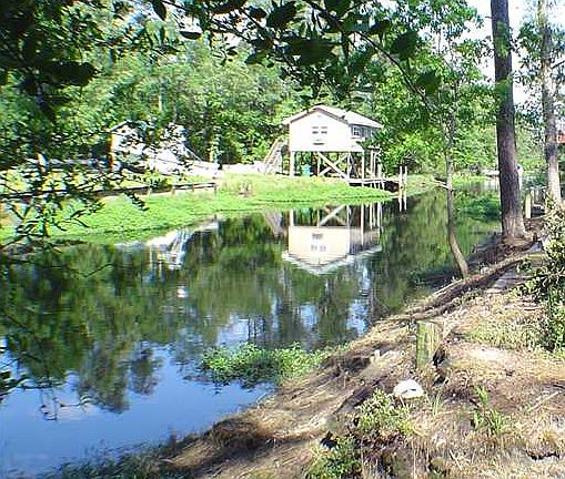 5th image of 26551 Mandane Dr