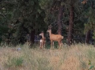 3311 W Hartson Ave, Spokane, WA 99224