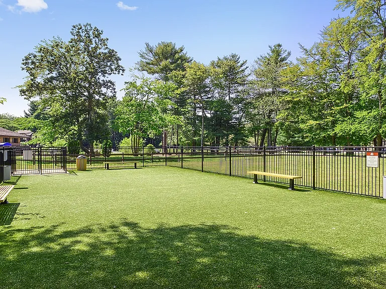 dogpark1