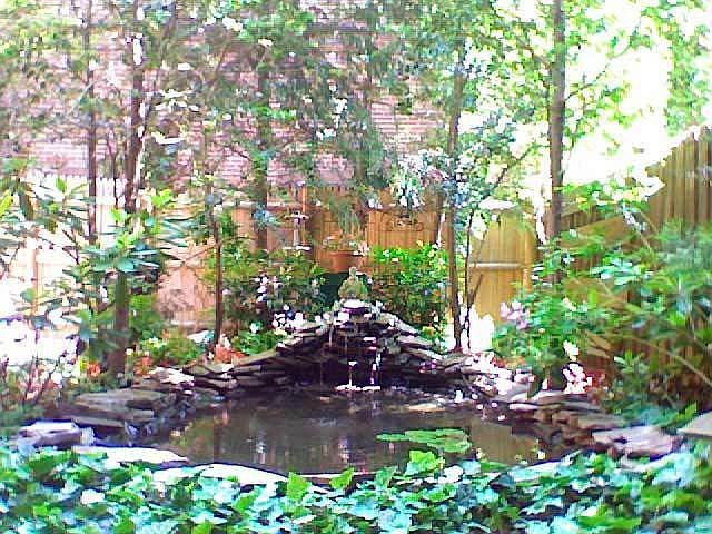 Pond/Waterfall June 2010