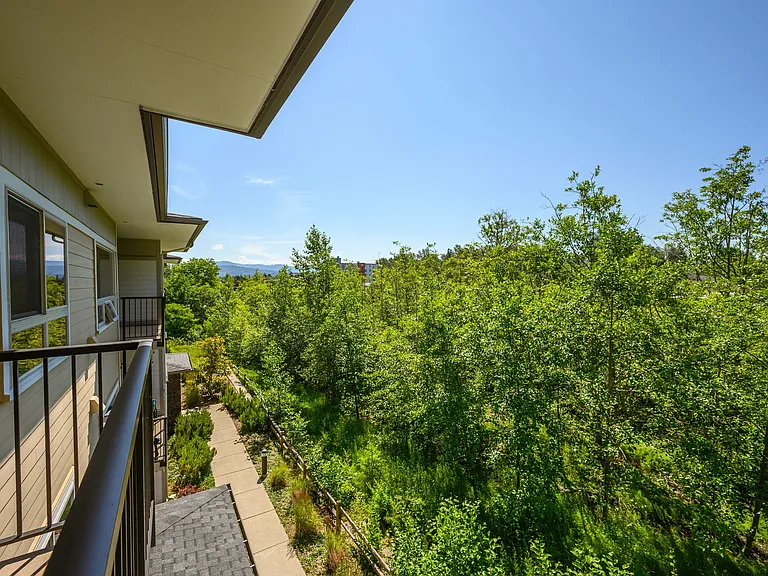 Deck View