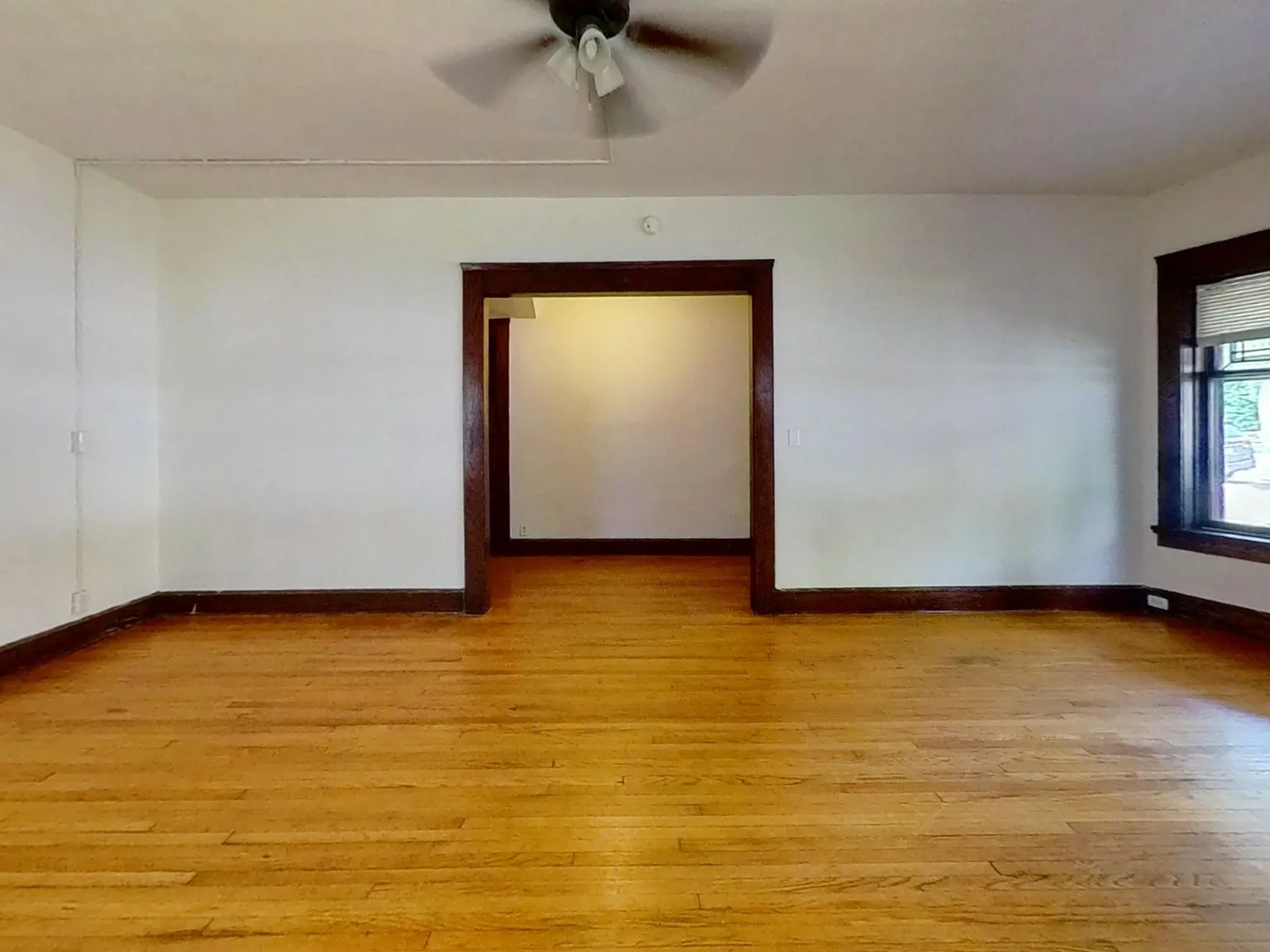 111 East Gorham Street - Unit 1 — Photo 3