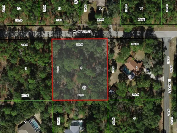1312 W Union St, Hernando, FL 34442