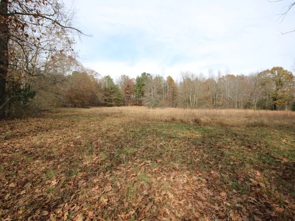 10 N Nopone Valley Rd, Decatur, TN 37322