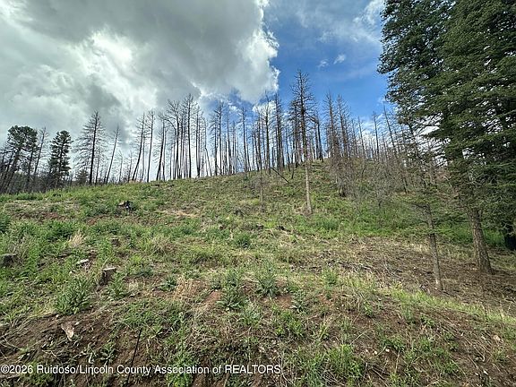 5th image of 155 Jarratt Loop