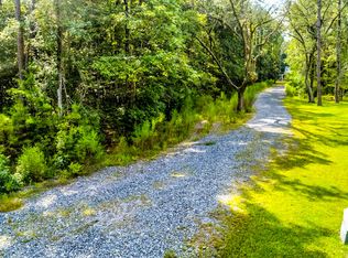 6317 Button Bush Dr, Ravenel, SC 29470