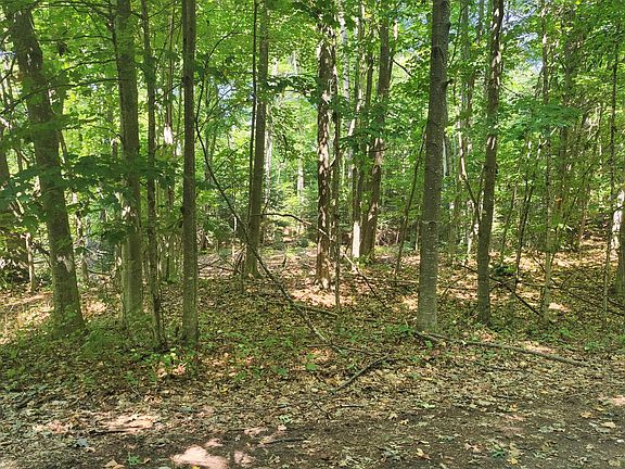 3rd image of 594 Wandering Woods Ct