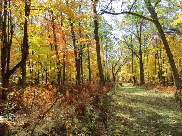 Frost Rd, Trego, WI 54888