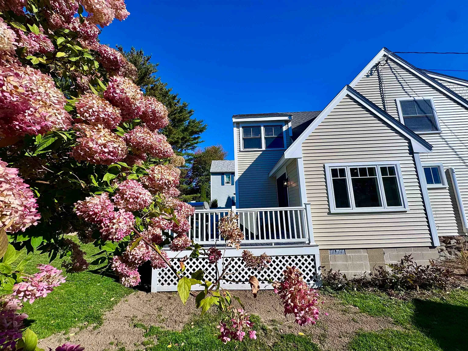 2 bed, 2.0 bath, 1167 sqft, $4,000 — Photo 2
