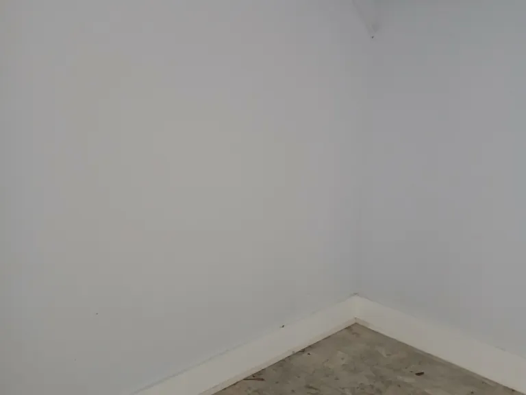 406 Voorhies St #B — Photo 5