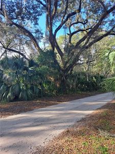 0 NE 142 PLACE LOT 280, Anthony, FL, 32617