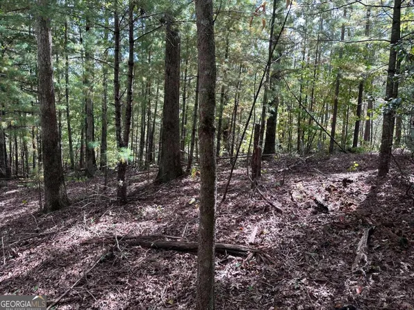 37 Mountain Creek Hollow Dr #37, Talking Rock, GA 30175