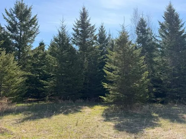 66th Ave NE, Remer, MN 56672