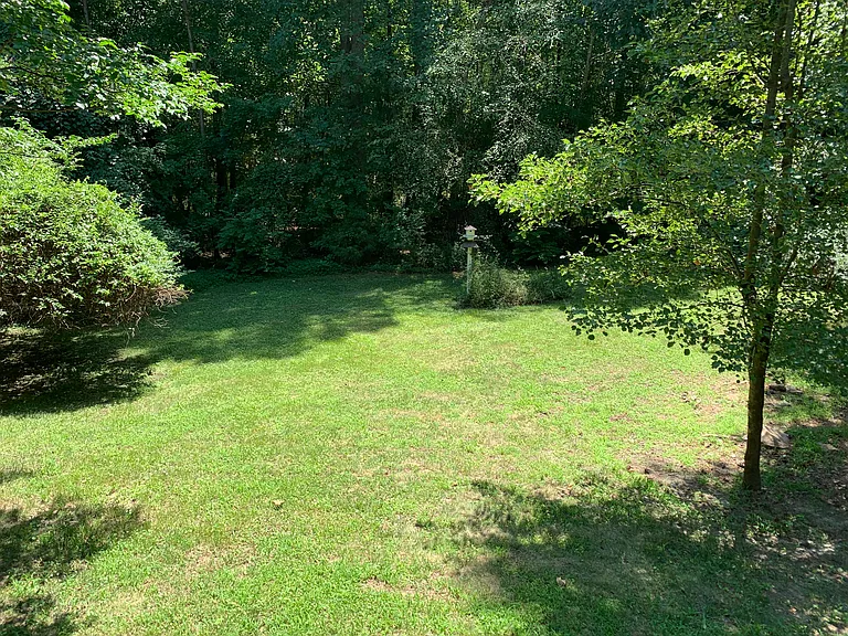Rear Yard