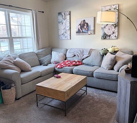 2nd image of 1180 N Nature Ct #17