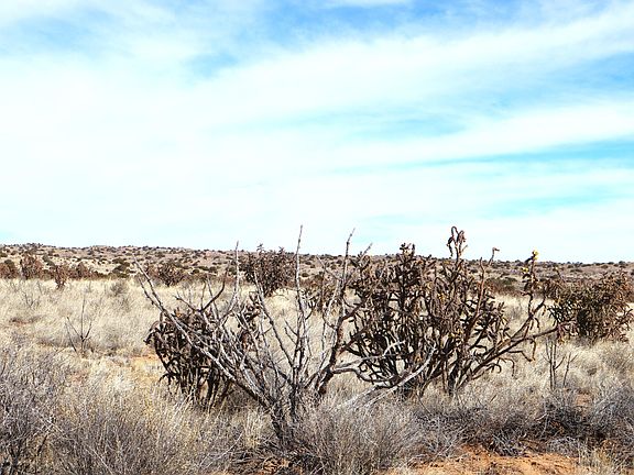 4th image of LOT 23 Rio Rancho Blvd NE