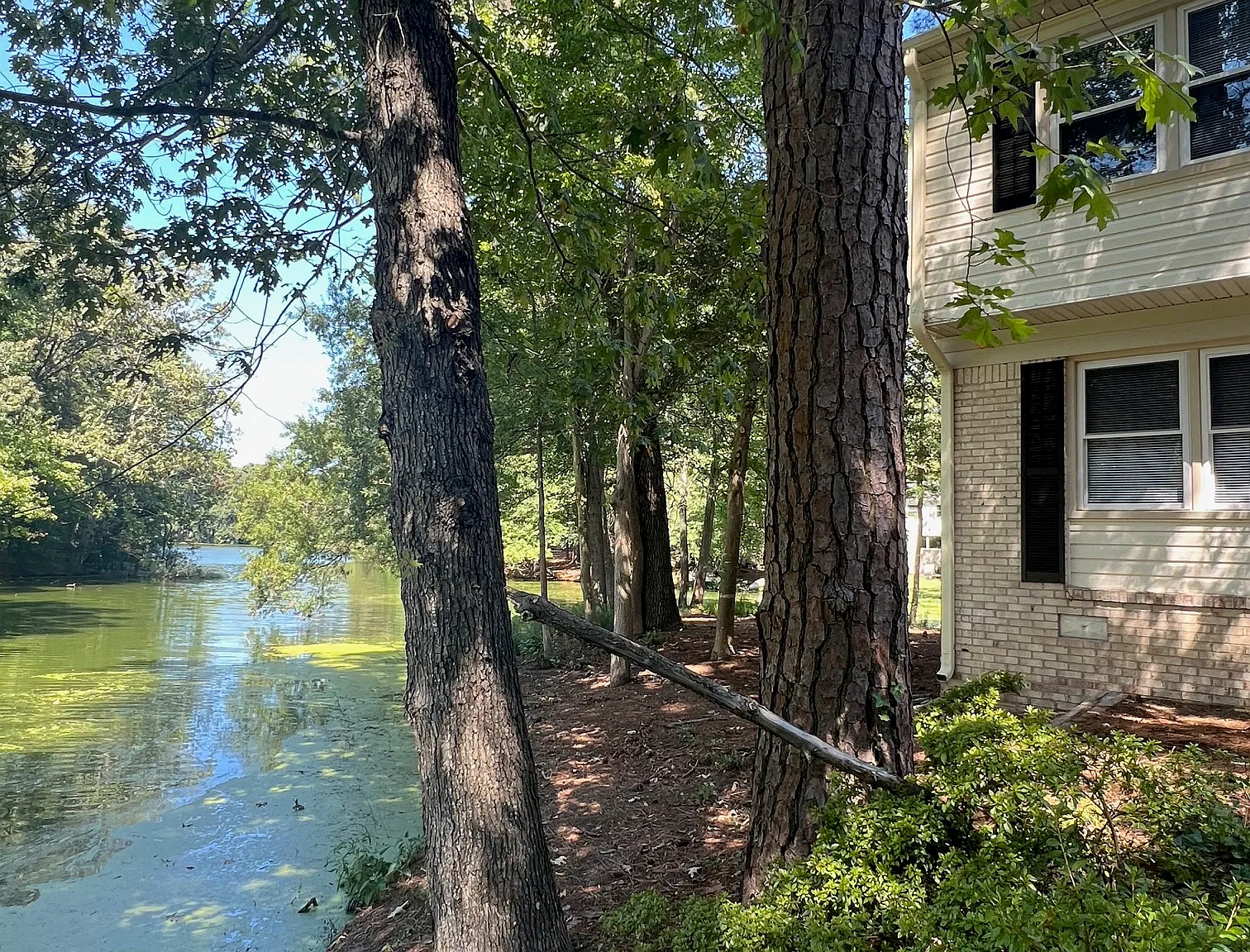 4 bed, 2.5 bath, 2237 sqft, $3,600 — Photo 2