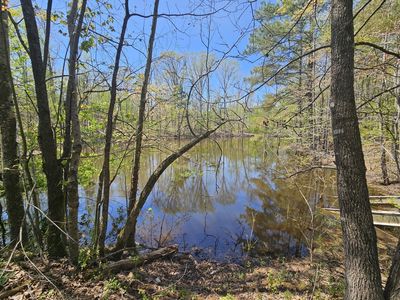 5005 Bunches Chapel Rd, Parsons, TN, 38363
