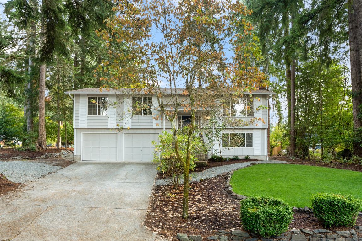 next background image