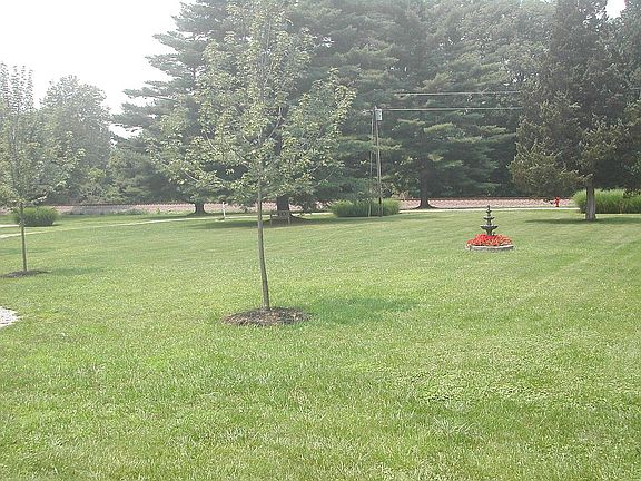Front yard