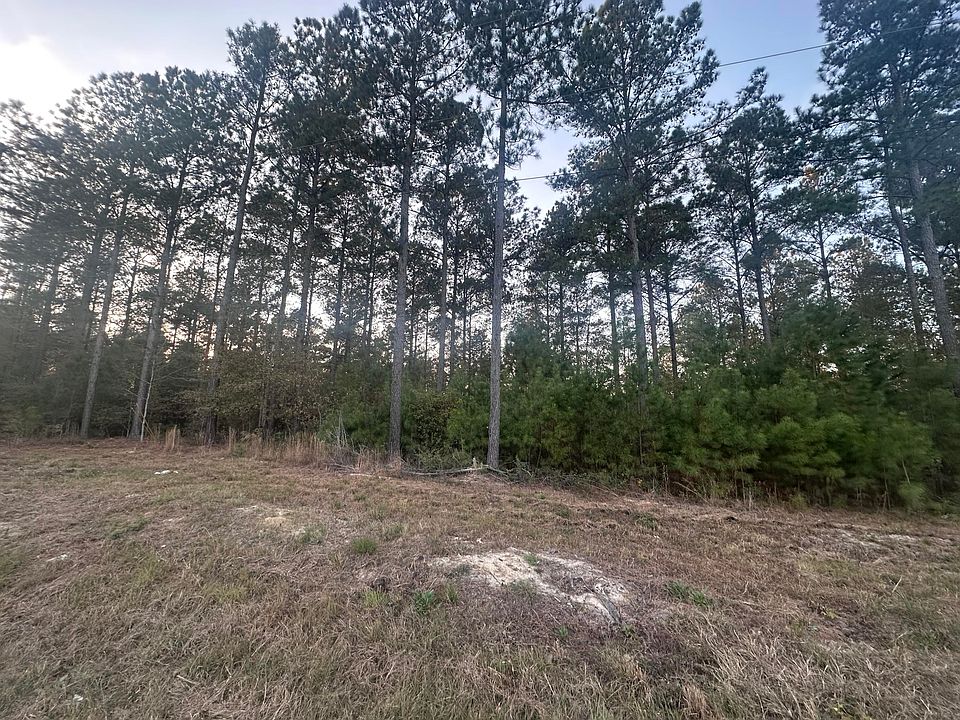 2nd image of 2 Blacks Dr