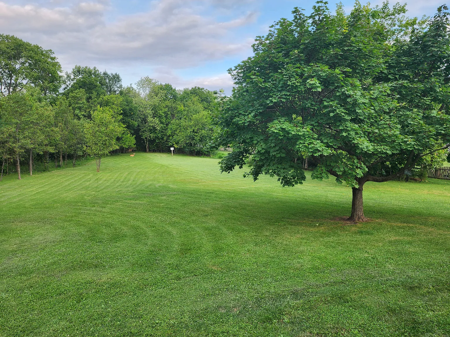 1 bed, 2128 sqft, $1,200 — Photo 4