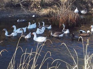 7738 Curry Rd, Fallon, NV 89406