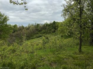 Little Bullskin Rd, Patriot, OH 45658