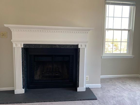 Wood-burning fireplace