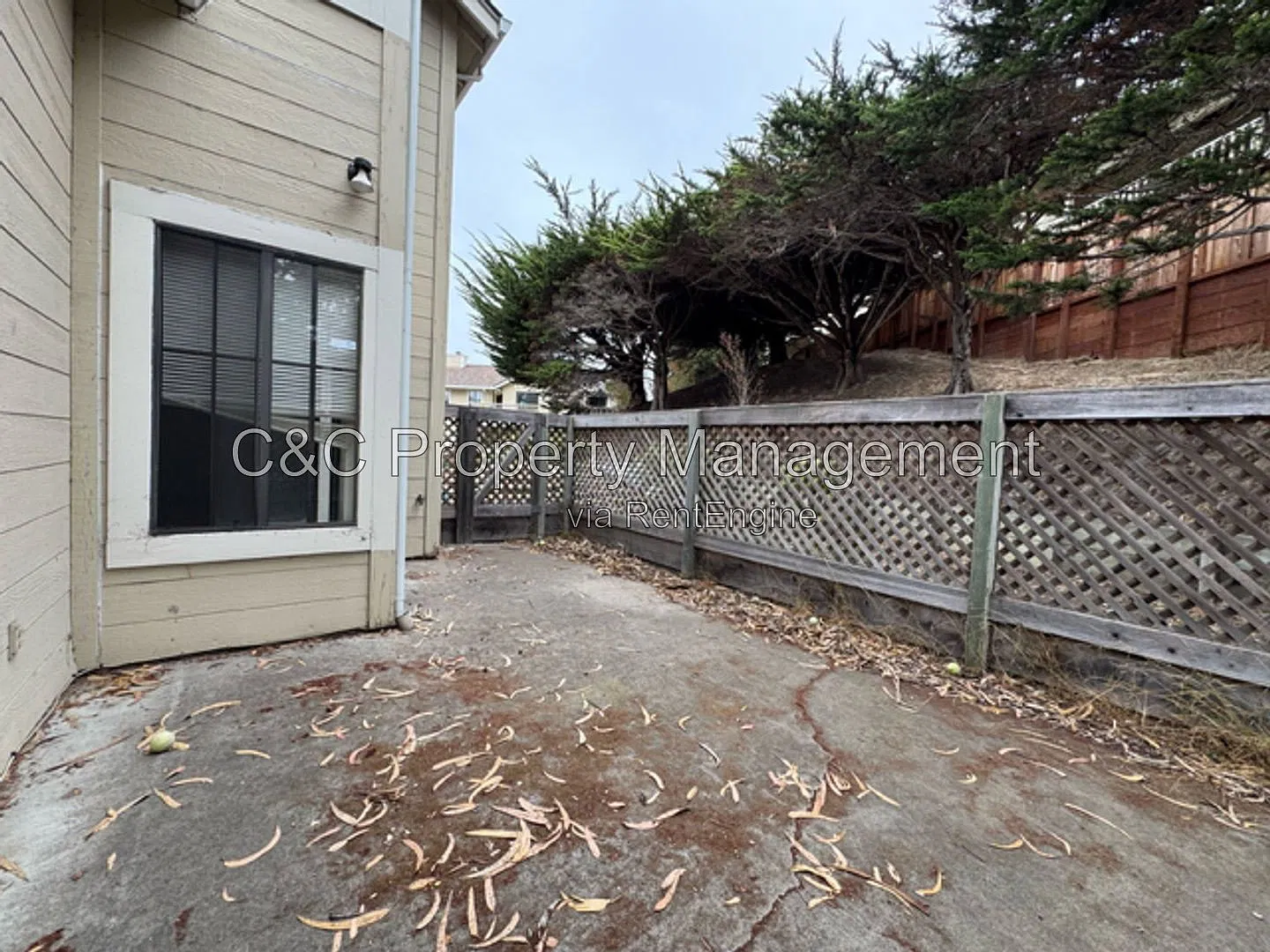 3 bed, 2.5 bath, 1382 sqft, $3,995 — Photo 3