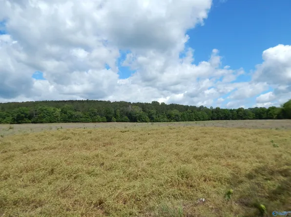 County Road 29, Piedmont, AL 36272