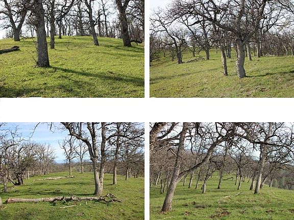 2nd image of 11500 Cool Spring Ct