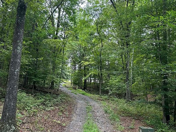 2nd image of 1425 Old Stage Rd