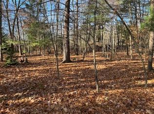 V/l Bedeau St, Montague, MI 49437