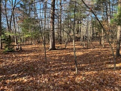 V/l Bedeau St, Montague, MI, 49437