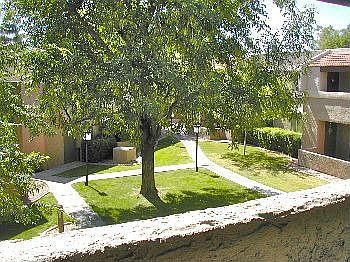 5th image of 4554 E Paradise Village Pkwy N Unit 253