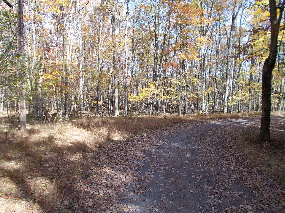 Lake Drive Road (at Lake)