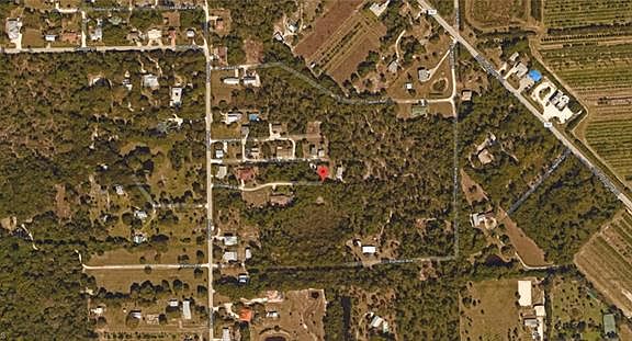 4th image of Guava Ave