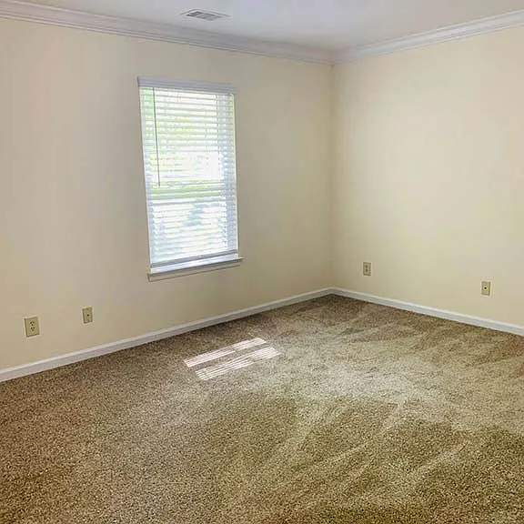 Living room with natural sunlight