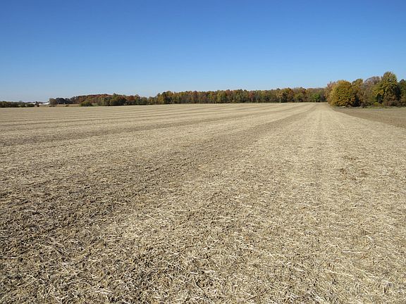 3rd image of W Saginaw Hwy