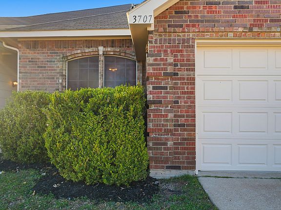 4th image of 3707 Sycamore Ln