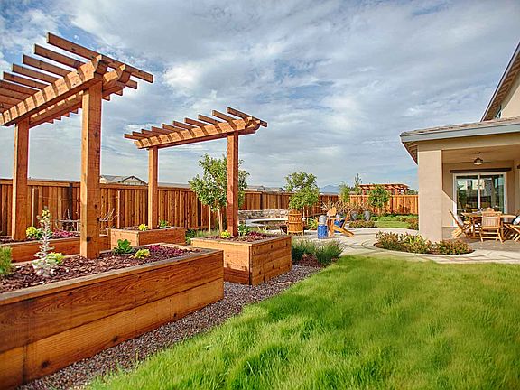 Homesite 300 - Backyard