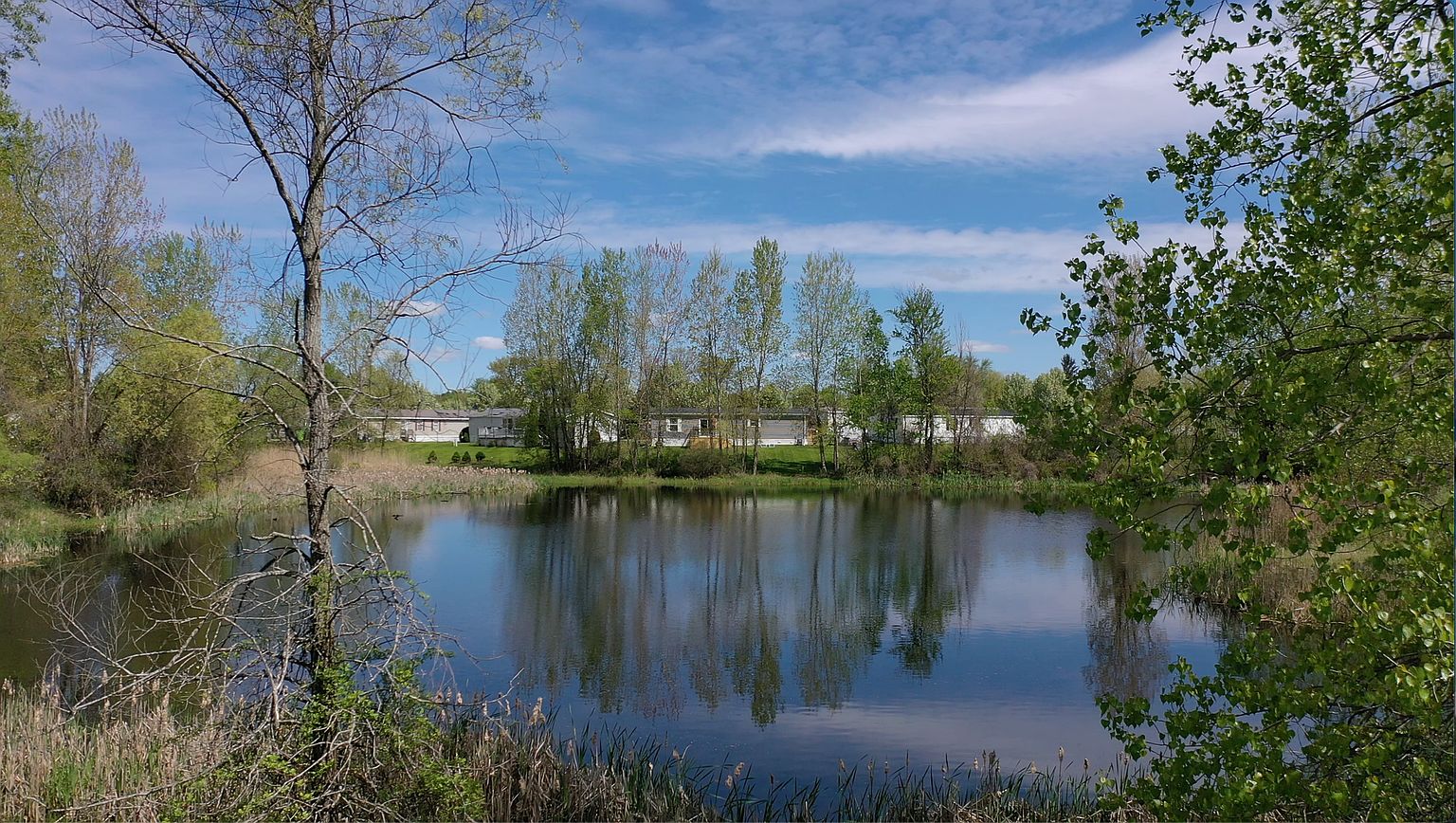 79 Dunlap Cir #79, photo 5