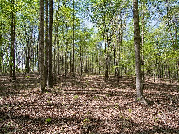 3rd image of 1555 Dog Hollow Rd