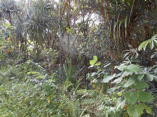 2nd image of Wehelauniu St Lot 179