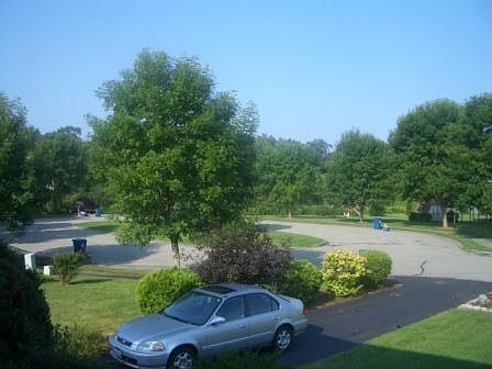 View from side door