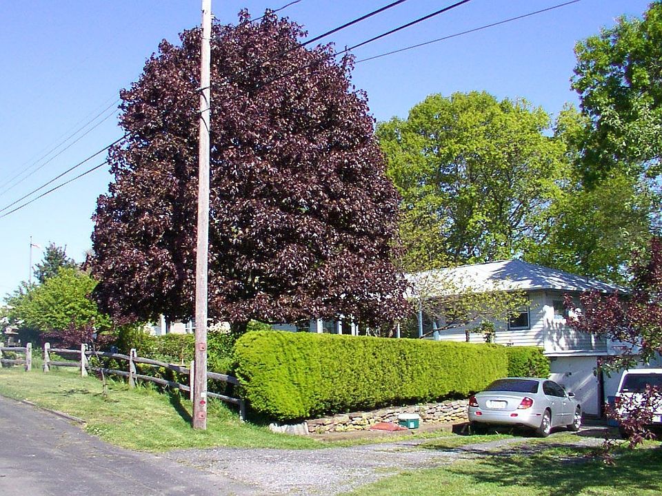 Bucolic